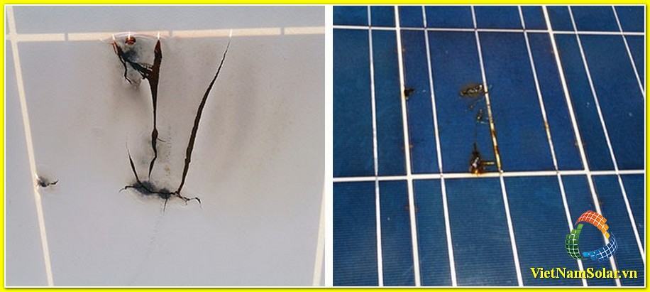 Decal bảo vệ bóc lớp sau của pin mặt trời