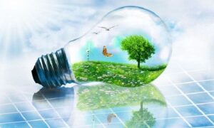 Góp phần bảo vệ sinh thái