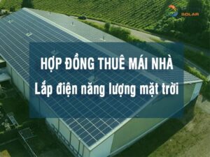 Hop dong thue mai nha lap dien nang luong mat troi