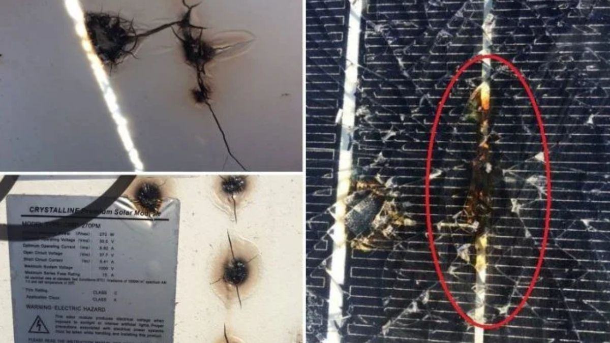 Nguyên nhân và một số cách phòng chống hiện tượng Hot spot 1 Hiện tượng Hot spot là gì