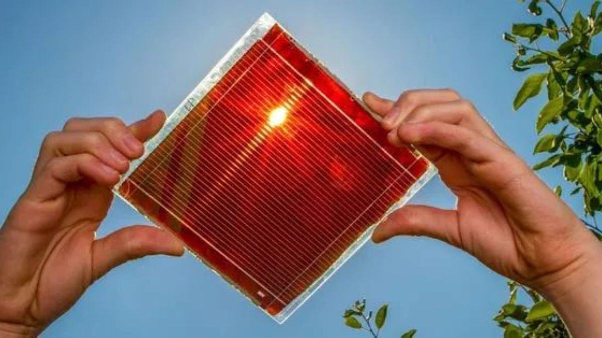 Tìm hiểu ứng dụng của tấm pin năng lượng mặt trời màng mỏng 7 Tấm pin Perovskite
