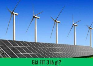Gia FIT 3 la gi 1