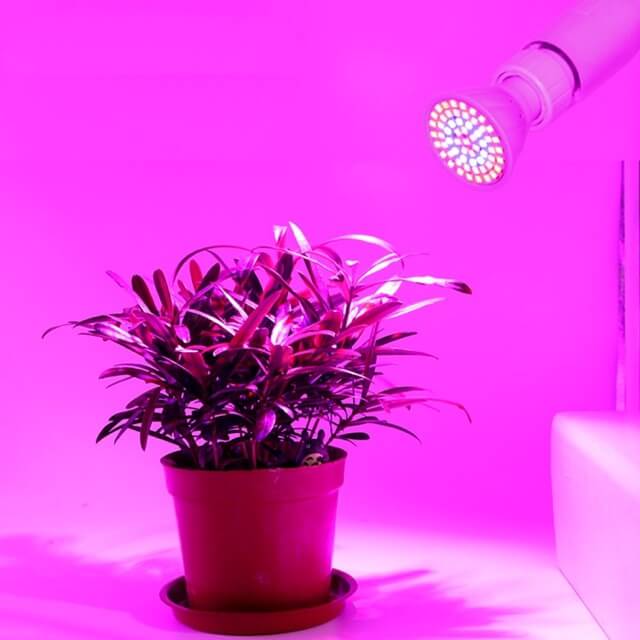 Ánh sáng toàn phổ bao gồm những màu sắc nào?