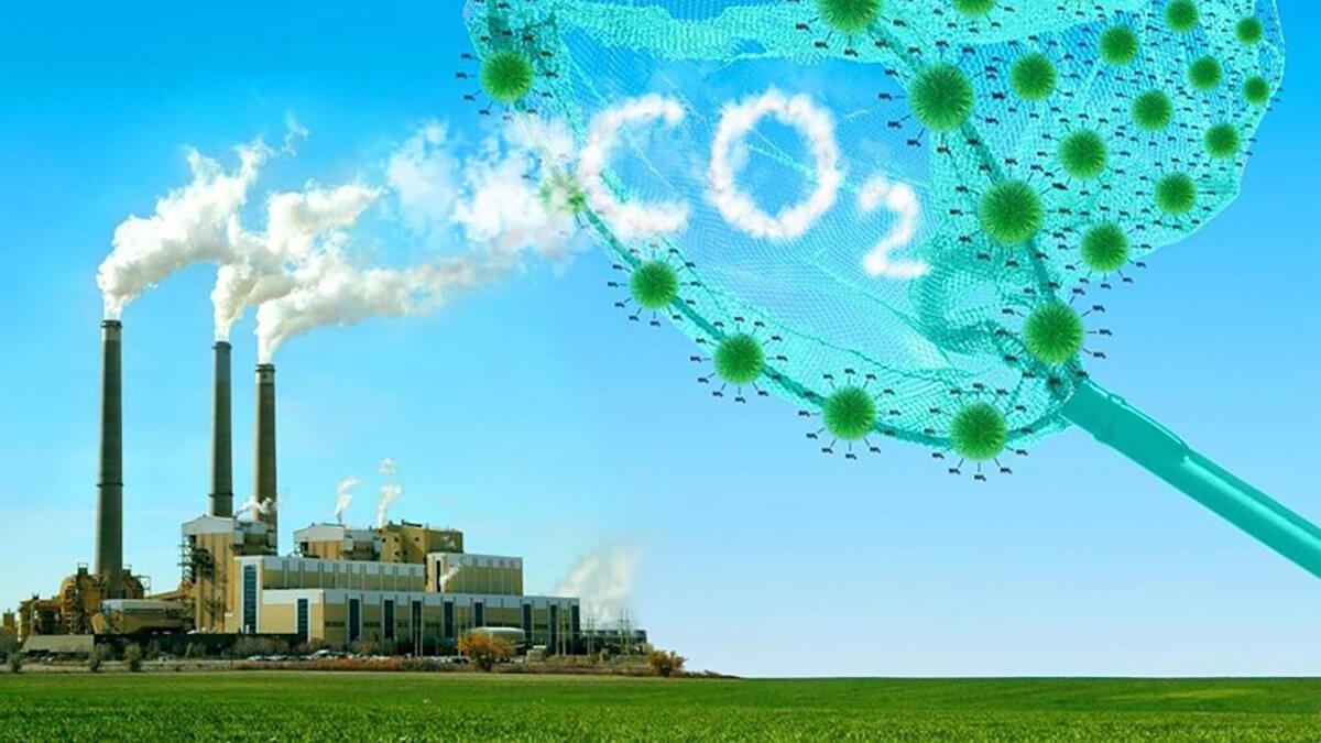 Các công cụ định giá carbon chính