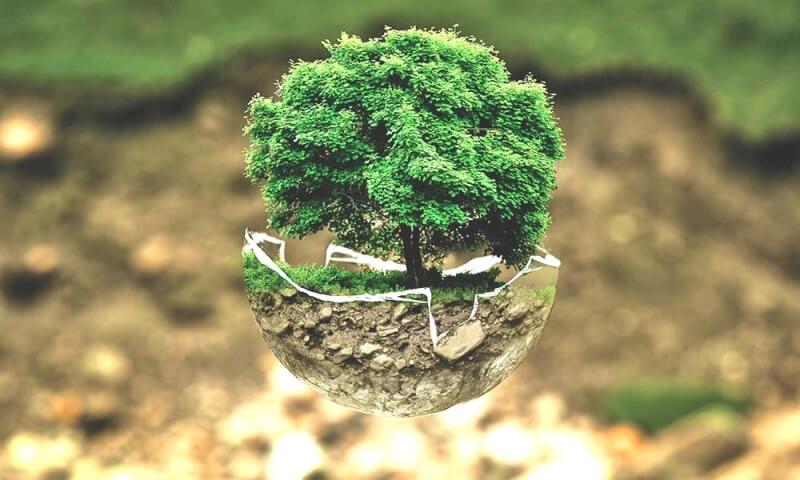 Carbon Footprint ảnh hưởng như thế nào đến biến đổi khí hậu?