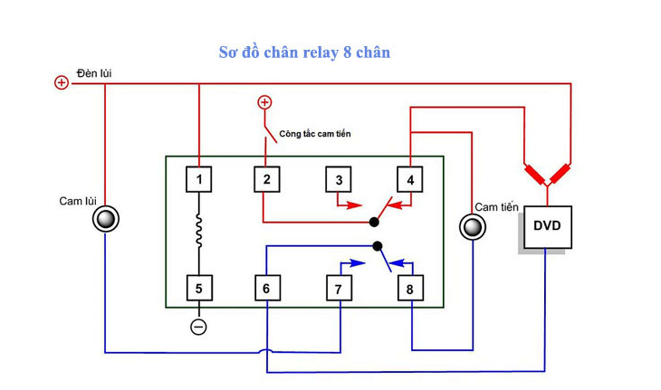 cach dau noi ro le 8 chan