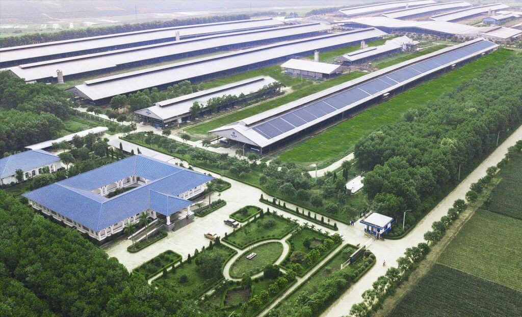 Dự án bù đắp carbon là gì? Cơ chế hoạt động của dự án bù đắp carbon 4 Lưu ý khi lựa chọn dự án bù đắp đắp carbon