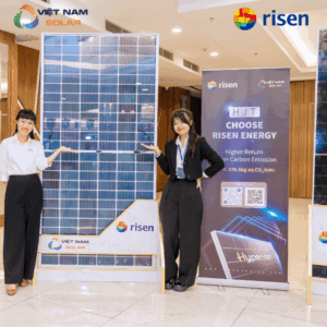risen ntype hjt 700wp