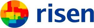 Risen HJT Solar