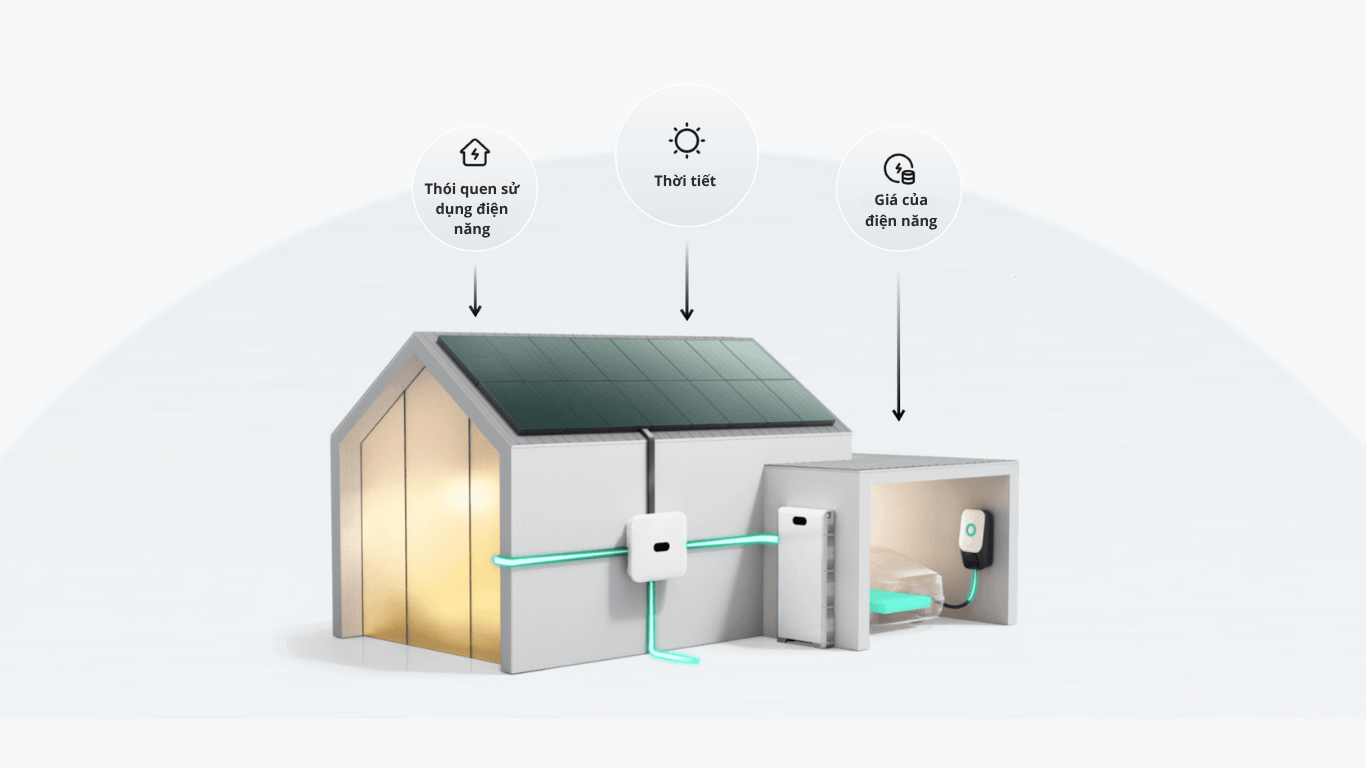 viet nam solar dien mat troi dan dung 7 7