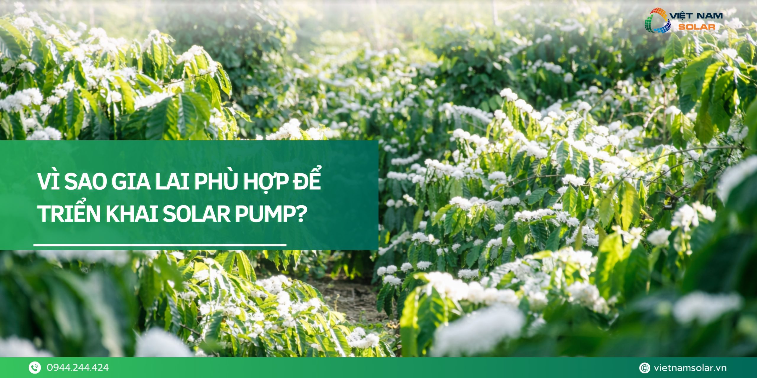 dia chi ban solar pump bom nuoc bang nang luong mat troi tai gia lai 3 scaled