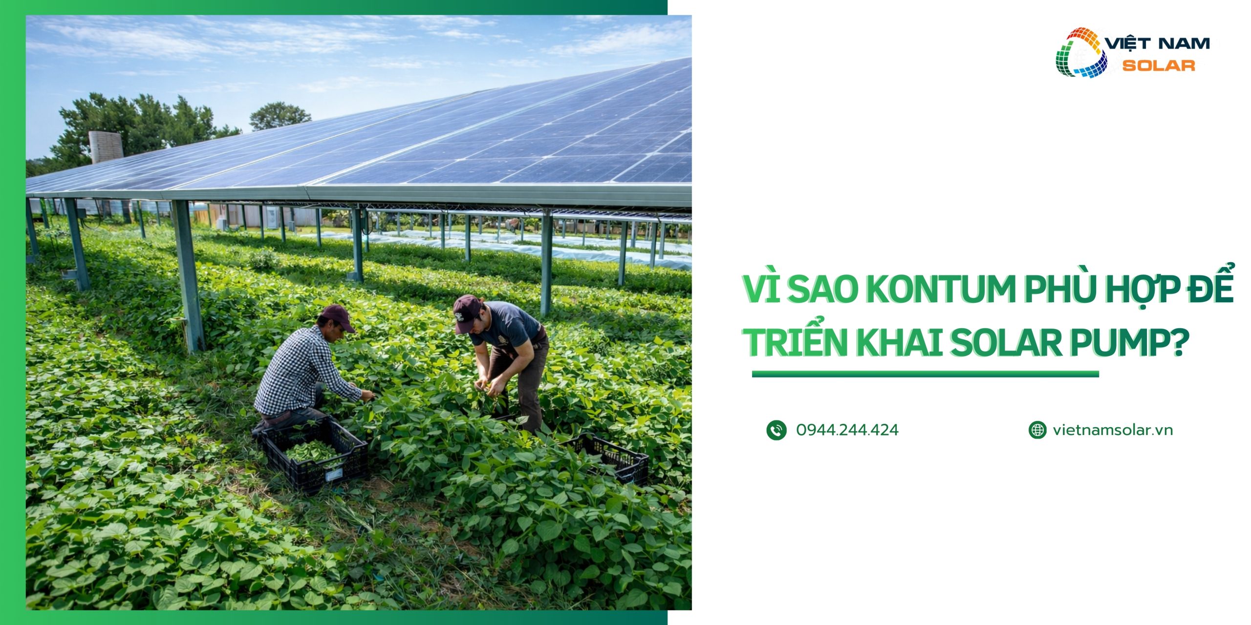 dia chi ban solar pump bom nuoc bang nang luong mat troi tai kon tum 2 scaled